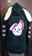 Cargar imagen en el visor de la galería, Sudadera Feng Min Bunny (Rosa/Verde) Adulto